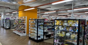 gallery